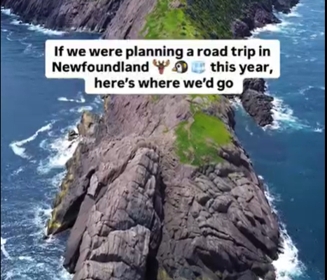 🌊 From Calgary to Iceberg Country: The Ultimate Newfoundland Road Trip You’ll Want to Lock In Early 🚗🫎✨