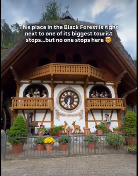 🌲 Hidden Black Forest Village You’ll Wish You Didn’t Miss 🇩🇪✨
