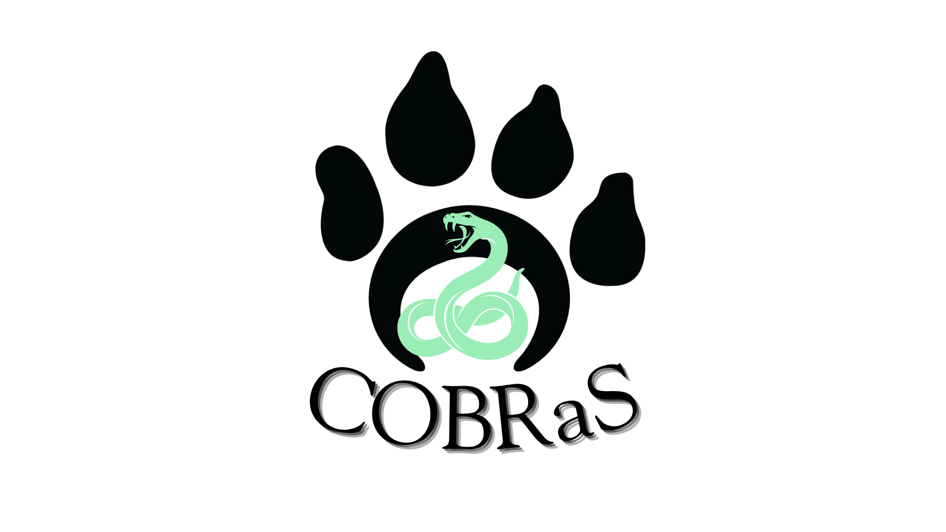 Writer: CAACURH COBRaS