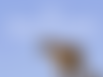 NRHH Newsletter - 4/1/26