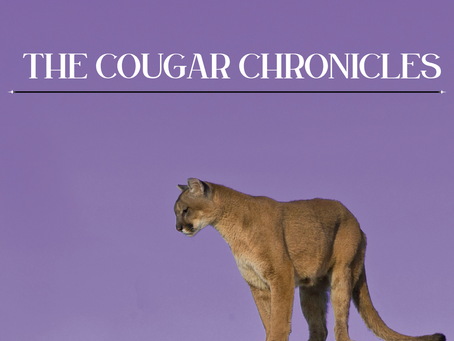 Cougar Chronicle - 2/7/26