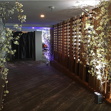 blossom-walkway.jpg