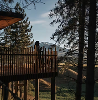 New_Zealand_luxury_elopement_forest_mountains