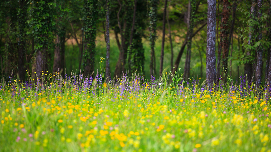 Bancos de Diseño. Hecho a mano. (4).png
