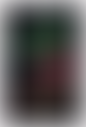 Rev. Michelle's Message January 11, 2024