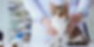Vet Banner.png
