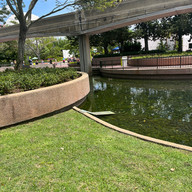 A metal ramp for disabled ducks to be able to enter a large pond in Epcot.