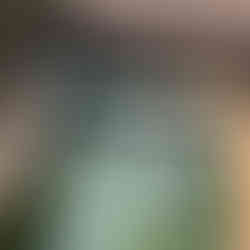 Metal ramp for disabled duck to cross a small water outlet near the lake at Epcot.