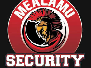 Protected by Mealamu Security