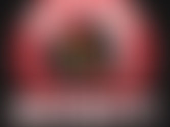 Protected by Mealamu Security