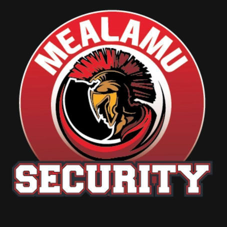 Protected by Mealamu Security