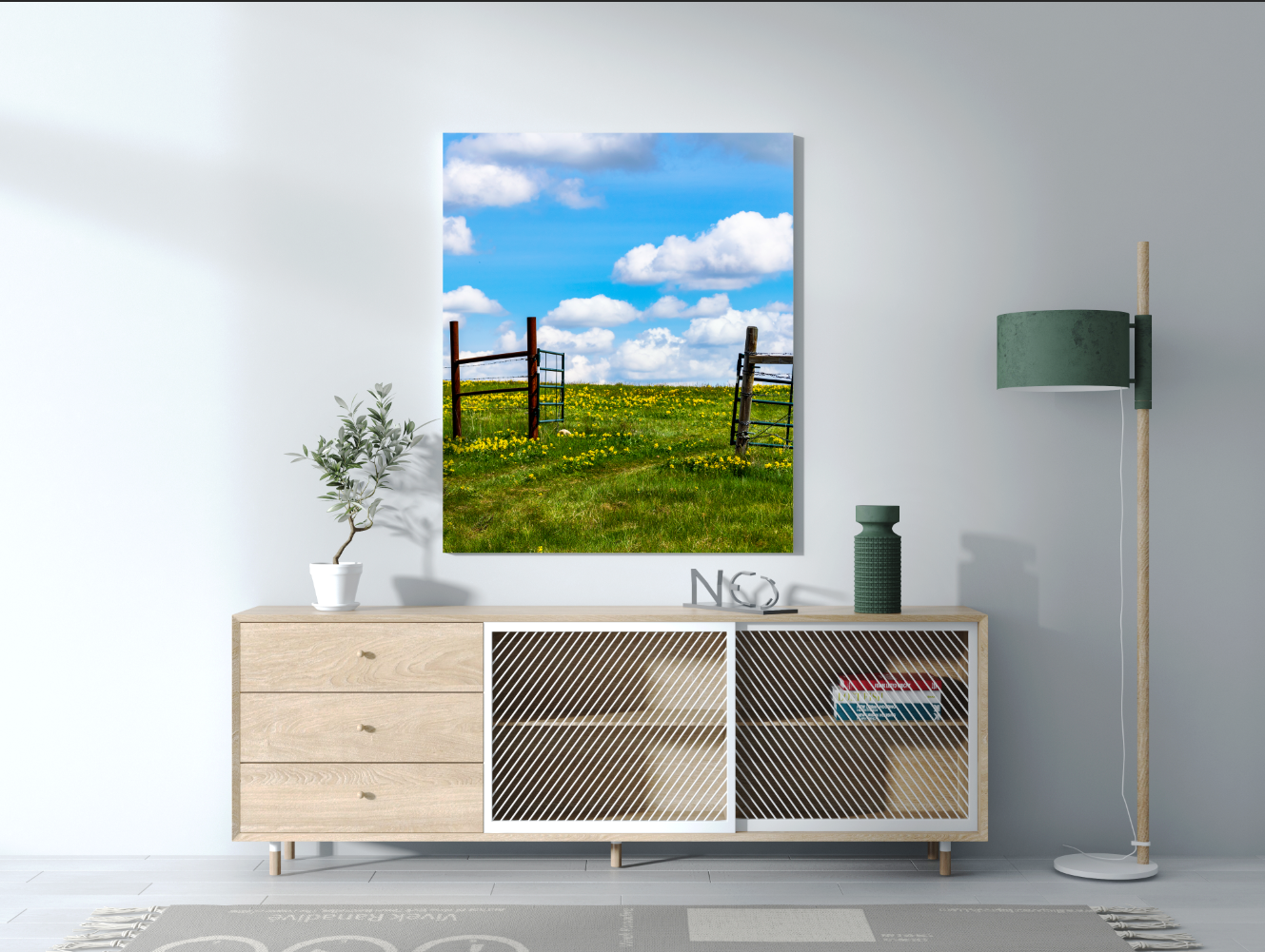 Buffalo Bean Field - Canvas Print