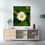 Thumbnail: Daisy - Canvas Print