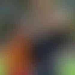 Noch ein Flugtips kurz vor dem Start