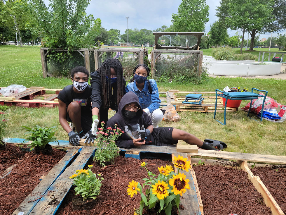 Thumbnail: Community Garden Consultation