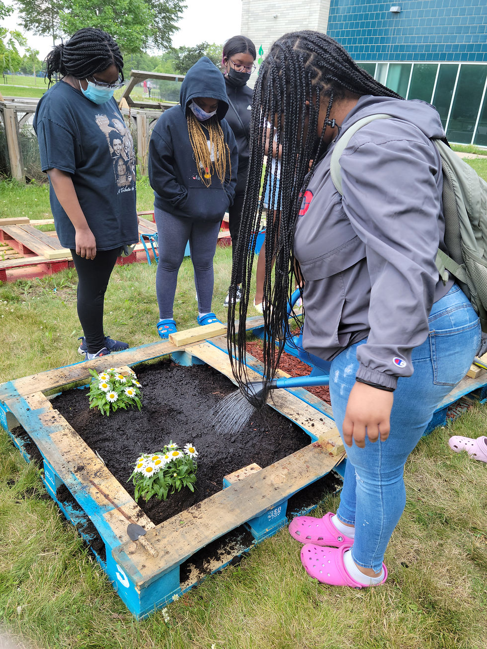 Thumbnail: Community Garden Consultation