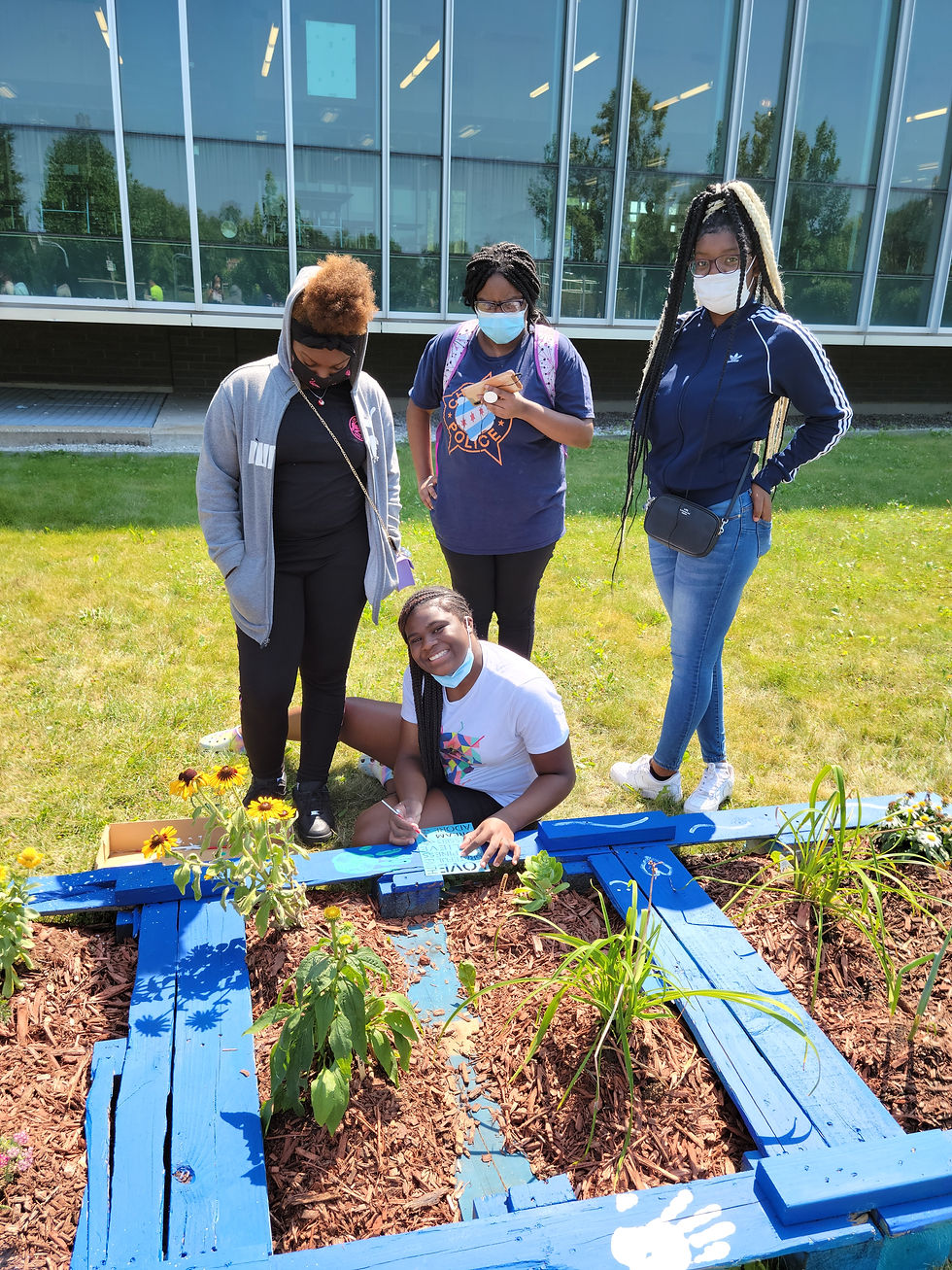 Thumbnail: Community Garden Consultation