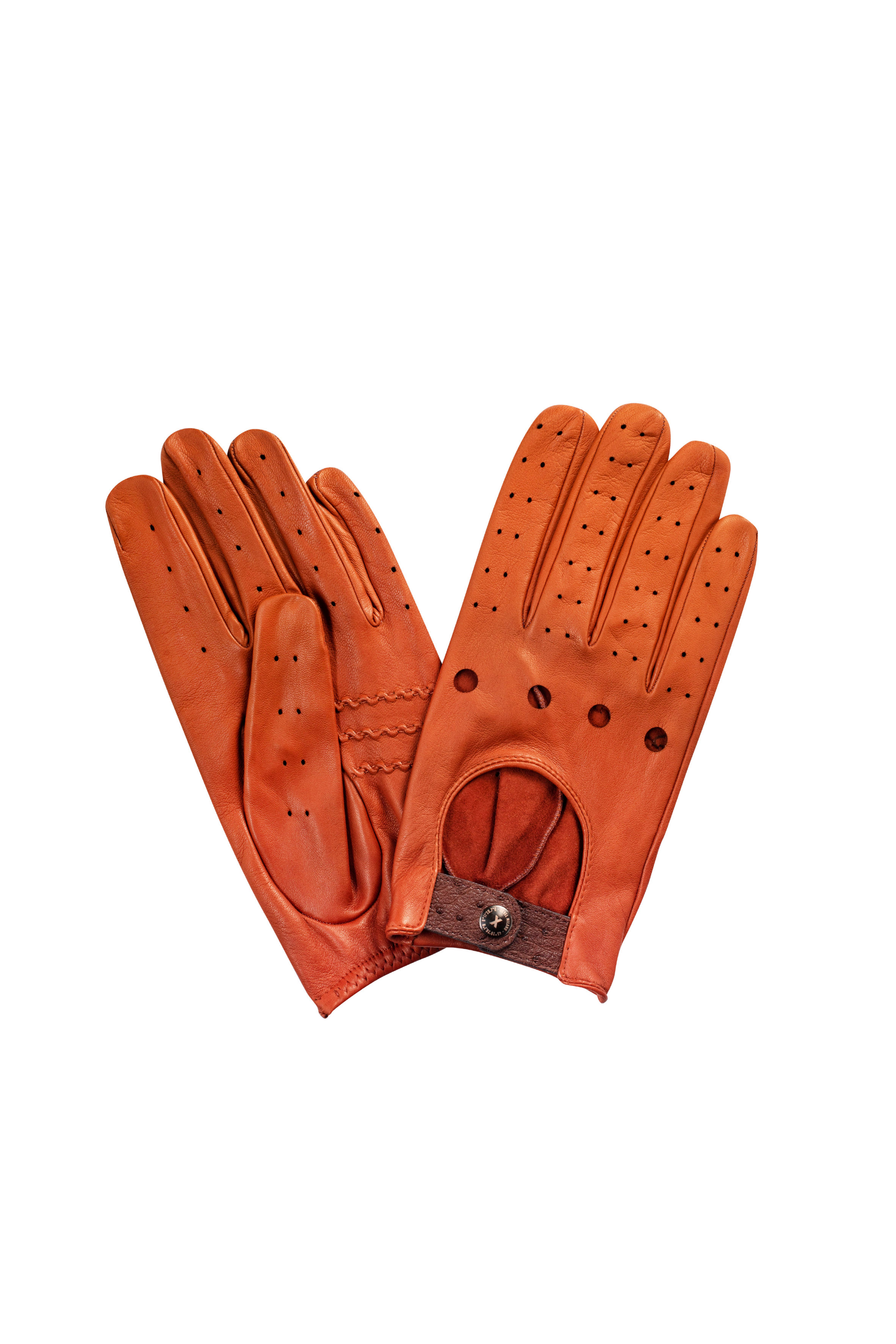 NOISETTE | Classic Premium