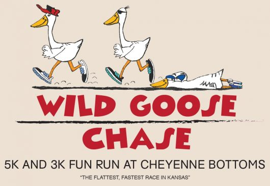 Wild Goose Chase 5k/3k Fun Run Get your running shoes ready for the fastest, flattest 5k/3k race in Kansas. The race takes runners through Cheyenne Bottoms and ends near the Kansas Wetlands Education Center. The Wild Goose Chase 5k/3k Fun Run is held every other year on even numbered years. When: The next Wild Goose Chase 5k/3k Fun Run is scheduled for April 7, 2018. Race Check-in at 7:30am, Race at 9:00am. Where: Race check-in is at the Kansas Wetlands Education Center. There will be a new race route this year. The route will begin and end at KWEC, and will meander around the mitigation marsh located behind the KWEC. This route will be more of a trail run on a mowed grass surface. Registration: Download a Race Registration Form to print and mail in your registration. Or, Register Online here. $25—ages 18 and older ($35 after Mar 27) $15—ages under 18 ($25 after Mar 27) Entry fee includes race, chip timing, t-shirt, awards, and snacks Registrations after March 27 are not guaranteed to receive a t-shirt. Register online at : https://webapps.fhsu.edu/wildgoosechase/ or print off and mail.