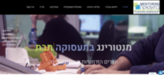 ג'וינט ישראל-תבת, מנטורינג - תיק עבודות