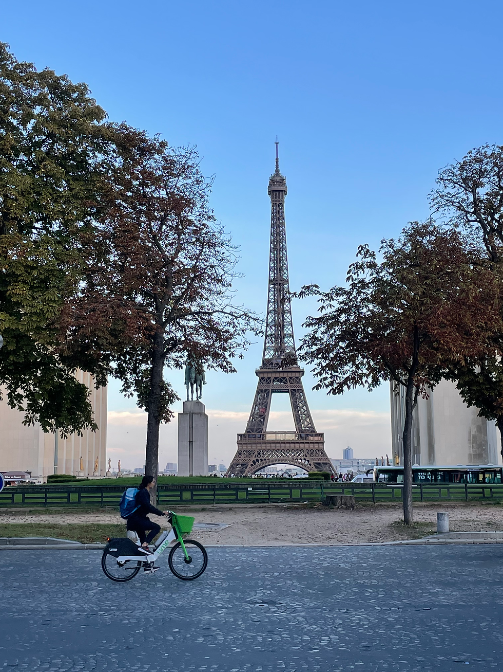 New Beginnings: My Journey into Parisian Real Estate