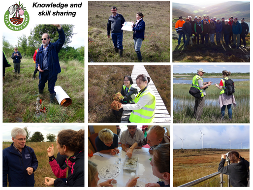Peat fans, why not join the Irish Peatland Society?