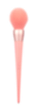 52702485 라지파우더브러쉬(팬톤19).jpg