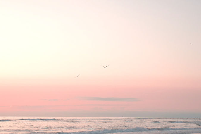 unsplash-Y3cmorOBse0_edited.jpg