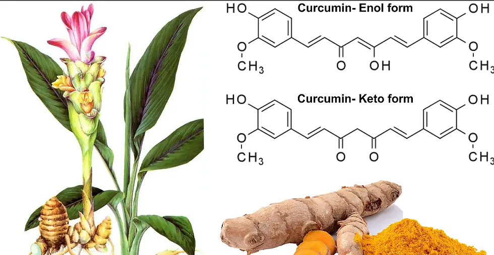 Curcumin and Arthritis