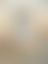 Castronovo cacao fruit white chocolate