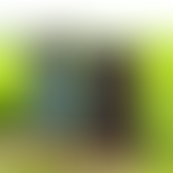 Goodnow Farms Nicaragua 77%