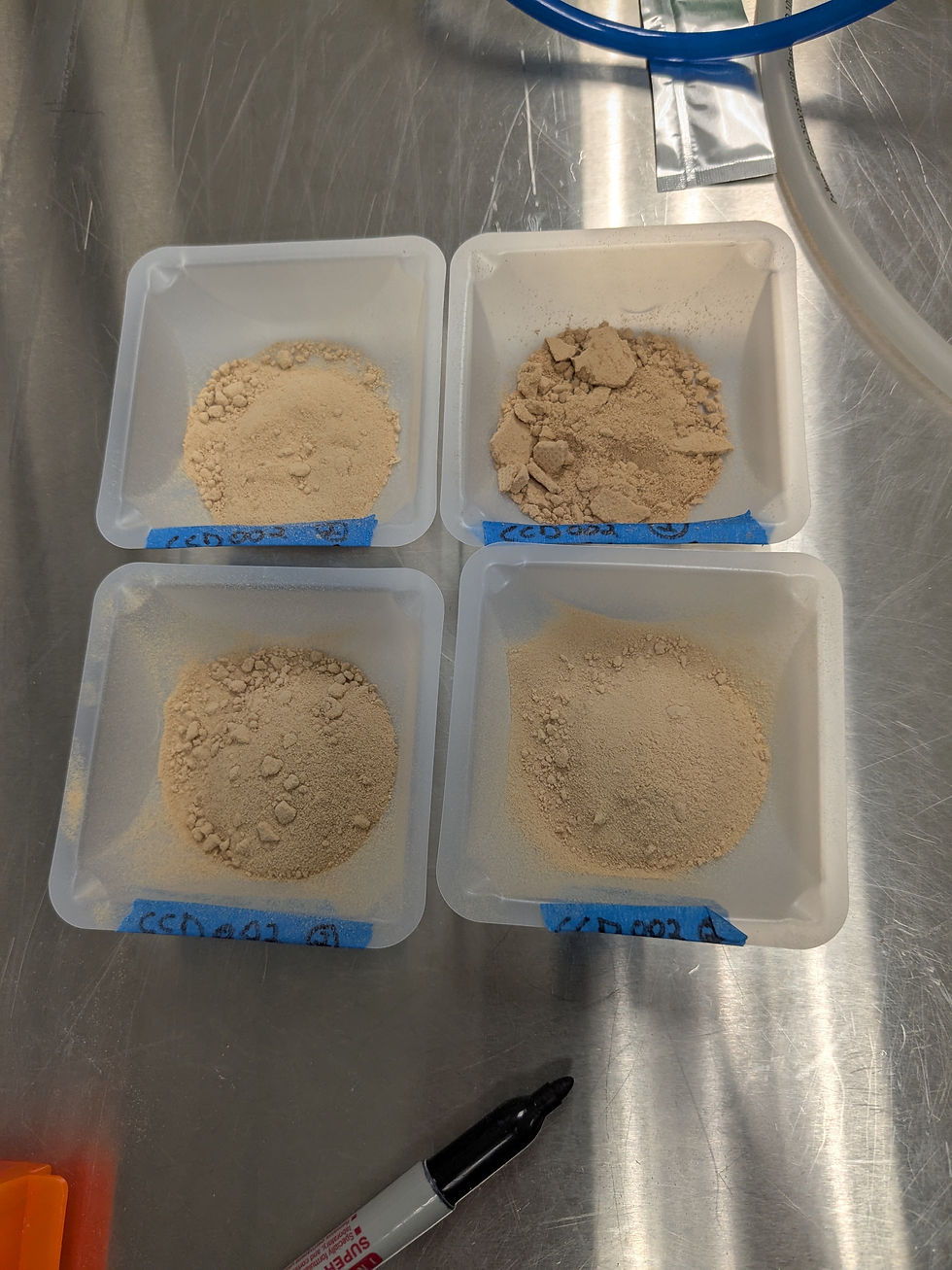 cell cultured cacao powder