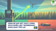 Thuỵ Điển Hôm Nay - 20/03