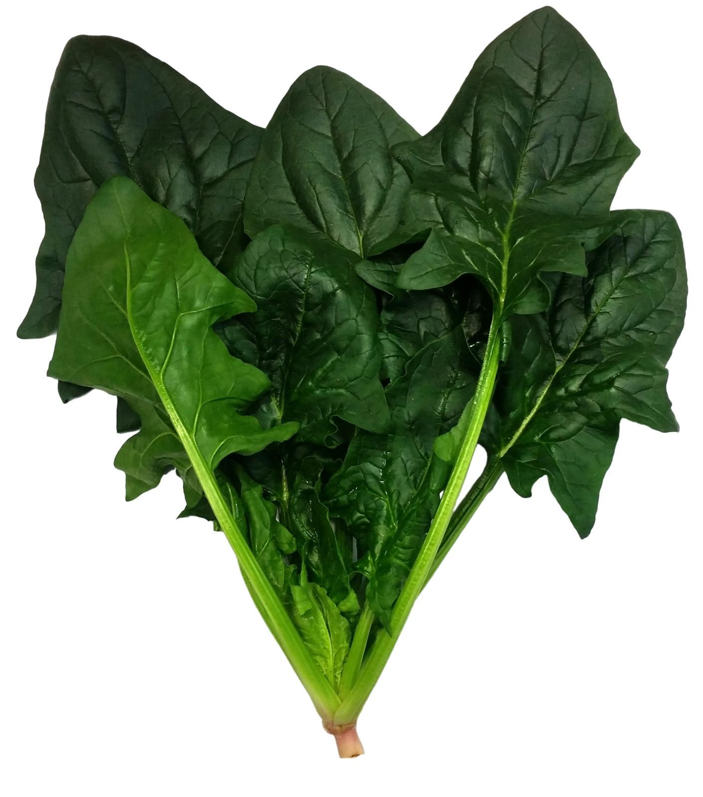 Espinaca Hibrida Julion