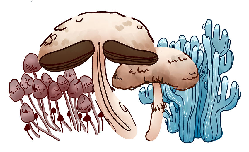 fungi fanclub.jpg