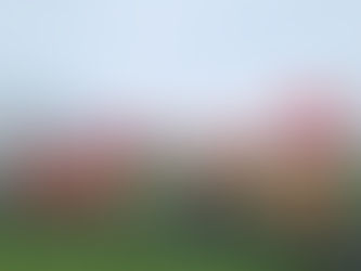 Cycle Rally for Tamil Genocide: Day 1 15.02.2024