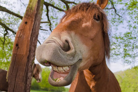 20 Reasons Why People Love Funny Commercials