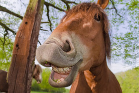 20 Reasons Why People Love Funny Commercials