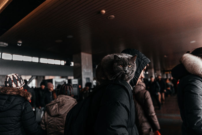 0E049102-88E0-464E-9C1C-BD15B590E456.jpeg