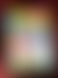 標本写真掲載