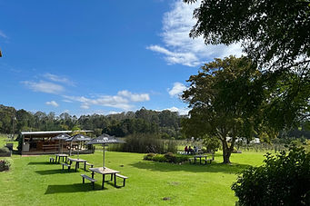 Luka Vineyards