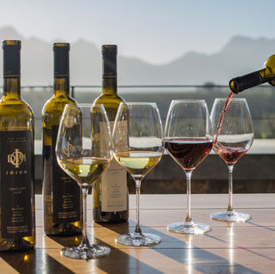 wine bottles and glasses on table