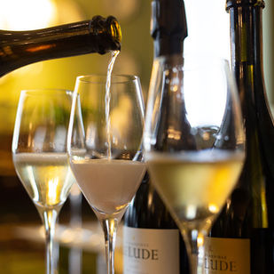 wine being poured into glasses