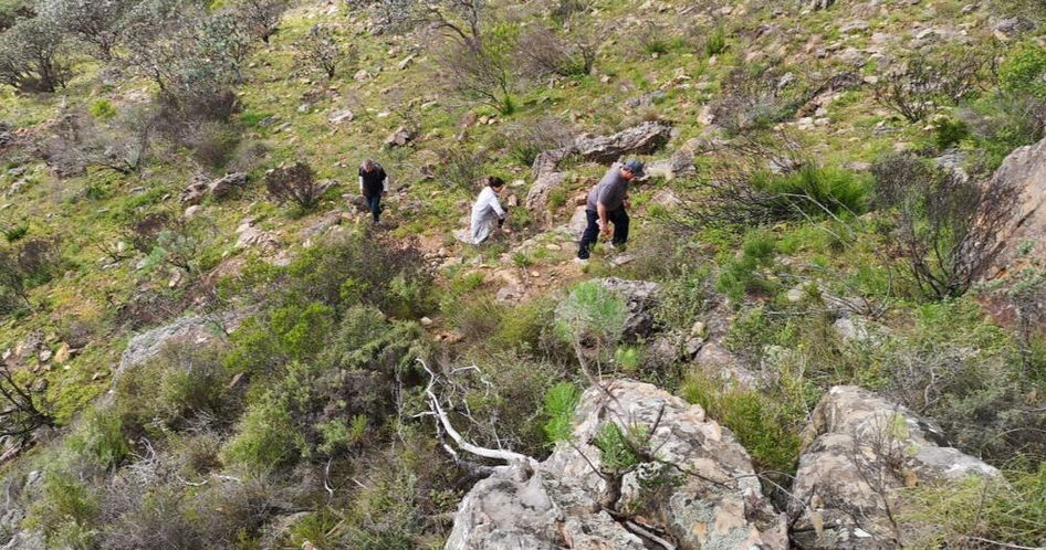people hiking on a trail