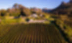 220412_DJI_0054_fs.jpg