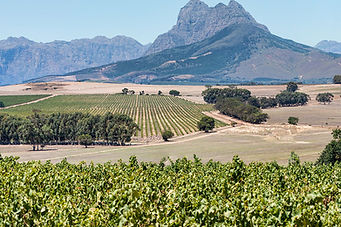 MAN Family Wines