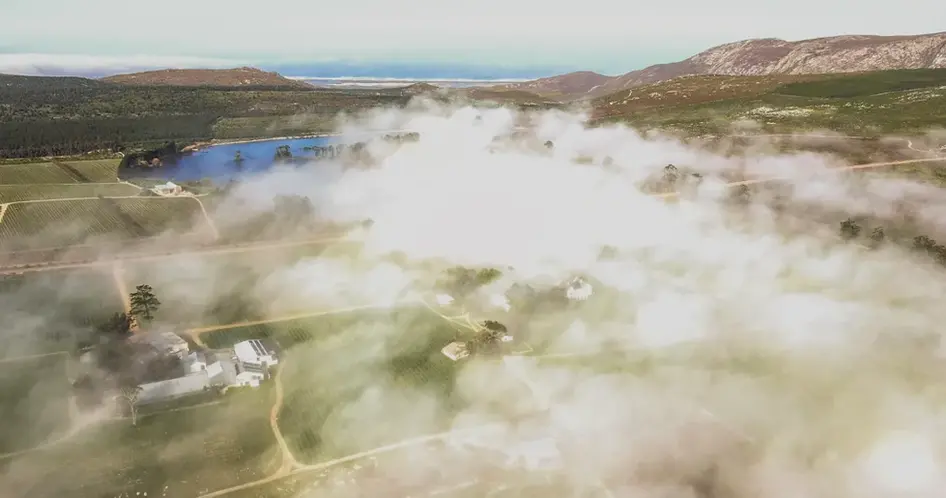 misty aerial view of vineyards