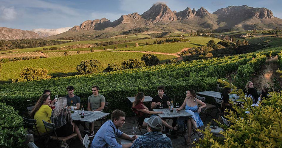 people enjoying wine outdoors
