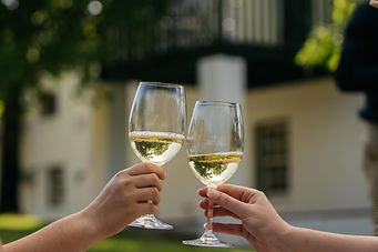 Knorhoek Wine Farm