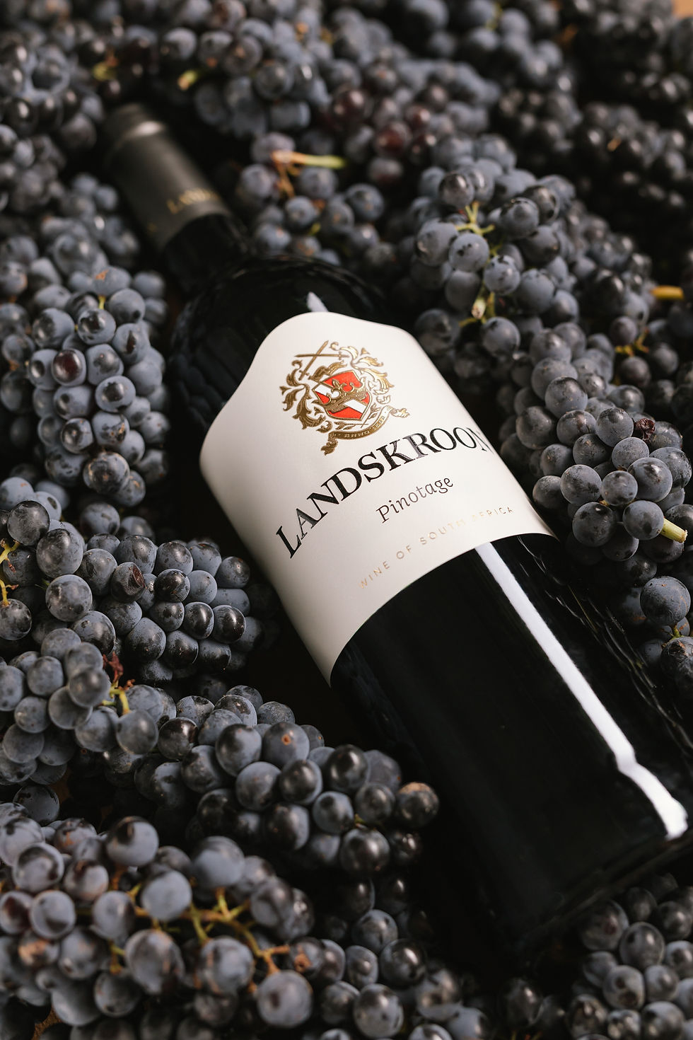 260318 Landskroon Wines ALL-1.jpg